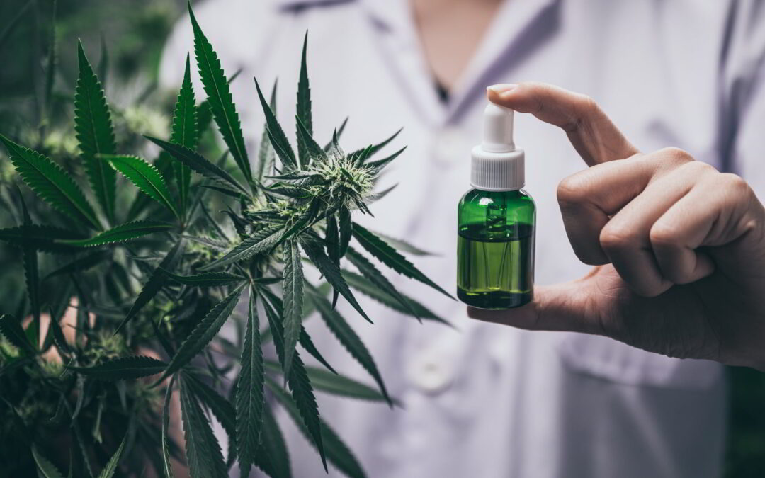 Understanding CBD: Answering What is CBD and More